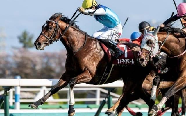 【NHKマイルC想定騎手】アドマイヤズームは川田将雅騎手、ランスオブカオスは吉村誠之助騎手