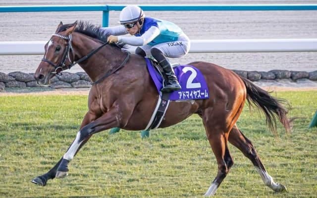 【AI予想・NHKマイルC】近況好調馬に良績が集中する3歳マイル王決定戦！ 人工知能が高評価を与えた実績馬3頭とは