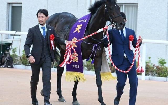 成長力とスタミナ見せたヘデントール その背景には母父ステイゴールドの存在