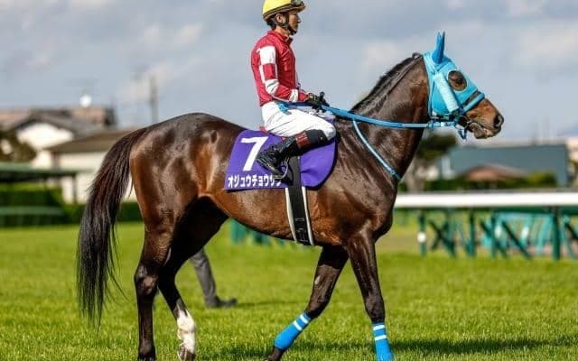 障害に強い血としても注目される「ミルジョージ」