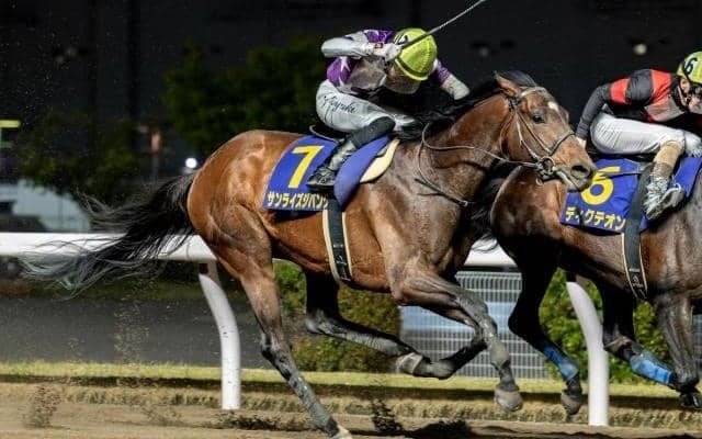 【名古屋グランプリ注目馬】ゴールデンウィークを締めくくるダートグレード重賞 中央・地方から12頭集結