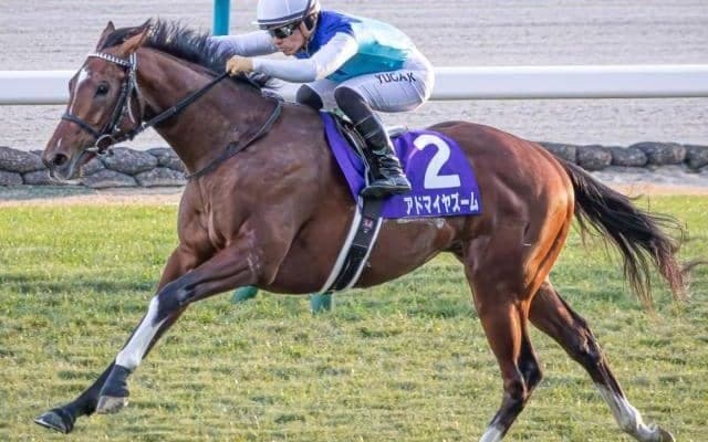【NHKマイルC】友道康夫調教師が史上最多タイの3勝目へ 朝日杯FS覇者のアドマイヤズームが参戦