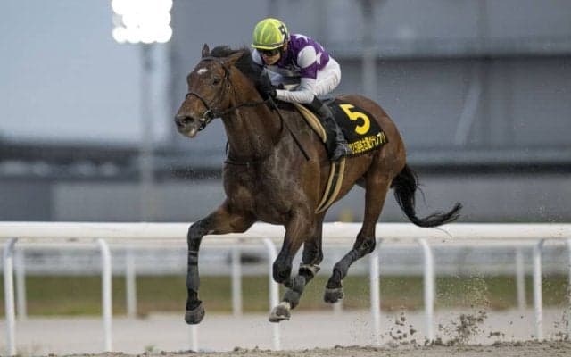 【名古屋グランプリ】サンライズジパングが重賞3勝目…高知シンメデージーは2着