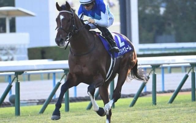 【NHKマイルC予想オッズ】アドマイヤズームが予想1番人気