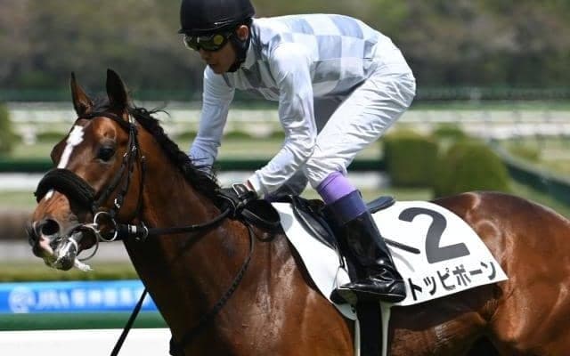 【京都新聞杯予想オッズ】トッピボーンが予想1番人気