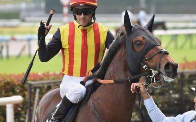 【エプソムC】半妹はGI・2勝のレガレイラ 大器ドゥラドーレスが重賞初制覇なるか