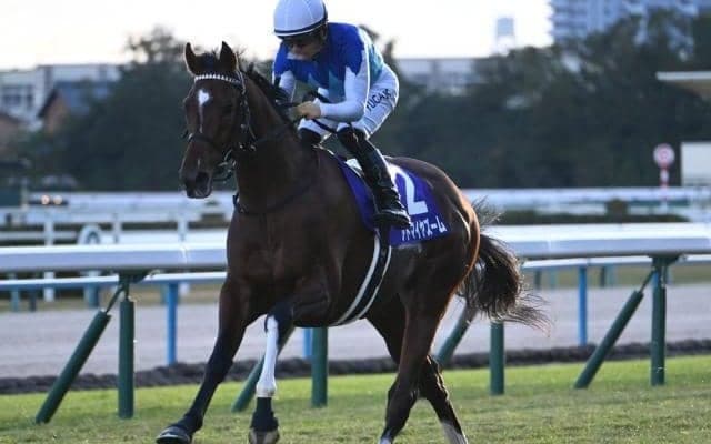 【NHKマイルC予想】AIは実績馬を順当評価？ 血統傾向だけが唯一気がかり