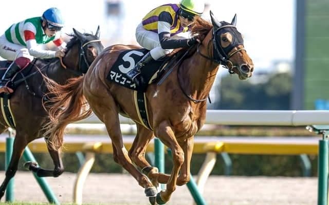 【NHKマイルC展望】桜花賞4着のマピュースが府中のマイルで戴冠を狙う