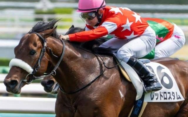 【三国特別】ルーキーの舟山瑠泉騎手 レッドロスタムで特別初騎乗初勝利なるか