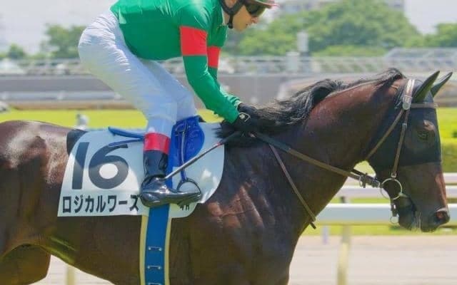JRAの現役は僅か2頭 ニューアプローチ産駒のロジカルワーズ初勝利なるか