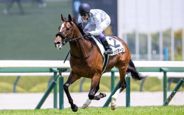 連勝中トッピボーンが京都新聞杯参戦…武豊騎手騎乗馬