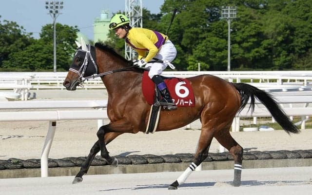 地元のキミノハートが主導権を握って逃げ切りV！吉見真幸調教師＆田野豊三騎手のコンビでうれしい重賞初制覇