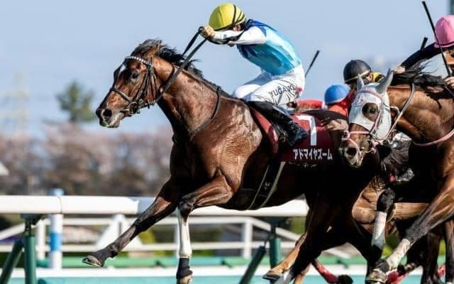 【NHKマイルC枠順確定】アドマイヤズームは4枠8番、イミグラントソングは3枠6番