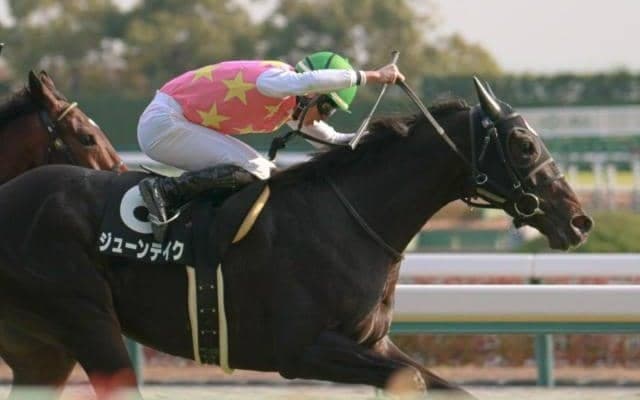 【エプソムC枠順確定】ジューンテイクは5枠10番、ダノンエアズロックは8枠17番