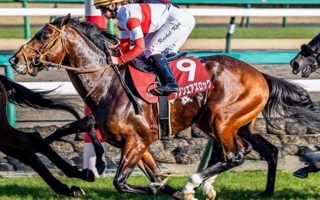 【エプソムC】セレクト4.5億円のダノンエアズロック 史上最高額のJRA重賞勝ち馬になるか