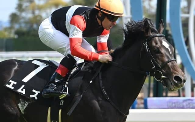 【今日の注目ポイント】京都で京都新聞杯と東京でエプソムC