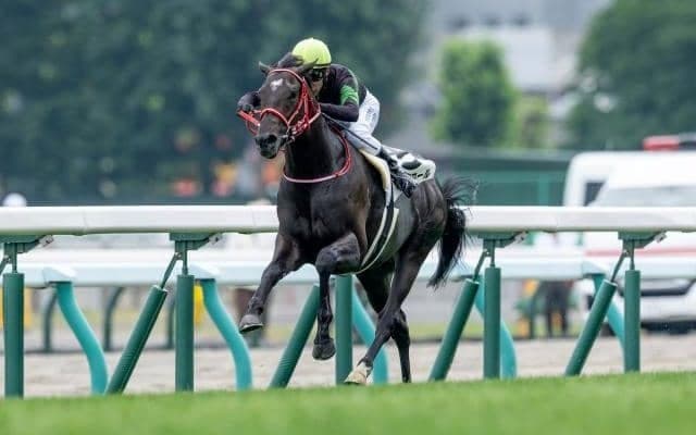 【京都新聞杯予想】ダービーへの東上最終便 末脚確かな馬を狙うのがベター