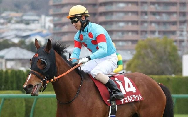 【競馬予想】NHKマイルＣは「ミスプロ系」から絞る　牝系も含めてマイル戦に強そうな２頭は？