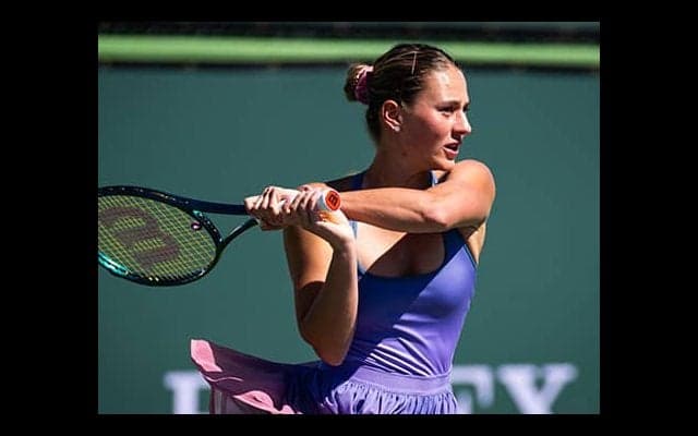 露から国籍変更の相手と握手交わす