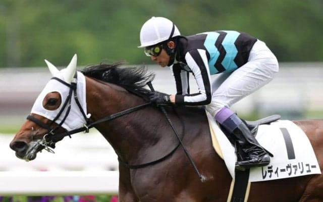 【京都7R】武豊レディーヴァリューが人気に応える