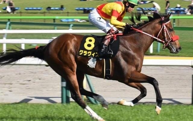 【日吉特別】兄姉にリアルスティール＆ラヴズオンリーユー 矢作芳人厩舎ゆかりの超良血が3勝目狙う