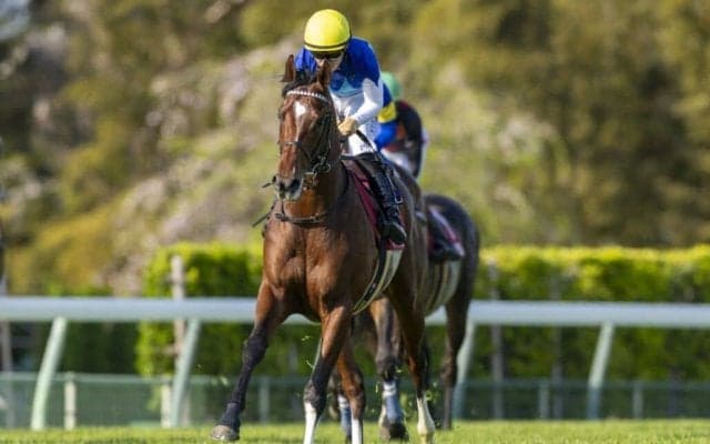 【NHKマイルC】アドマイヤズームは4枠8番