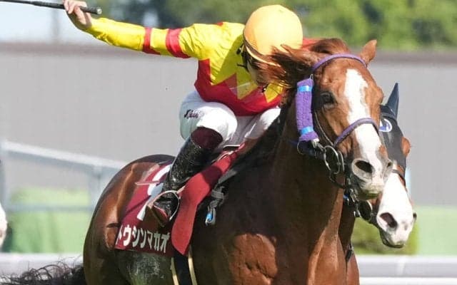 【京王杯SC】横山武「終いの弾けは良かった」トウシンマカオが快勝で重賞5勝目