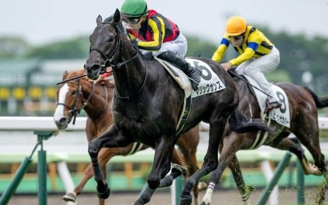 【NHKマイルC予想】3歳マイル王決定戦 スピードと瞬発力勝負を制すのは