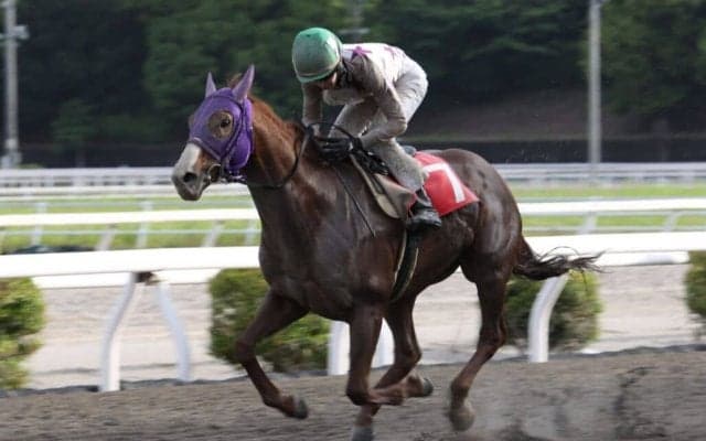 【高知・春野特別】5番人気サンライズグリットが豪快まくり！3馬身差の完勝