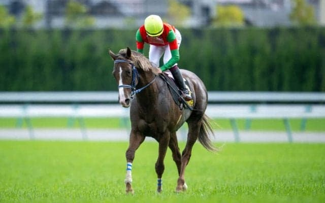 【メトロポリタンS】マイネルクリソーラがオープン初勝利