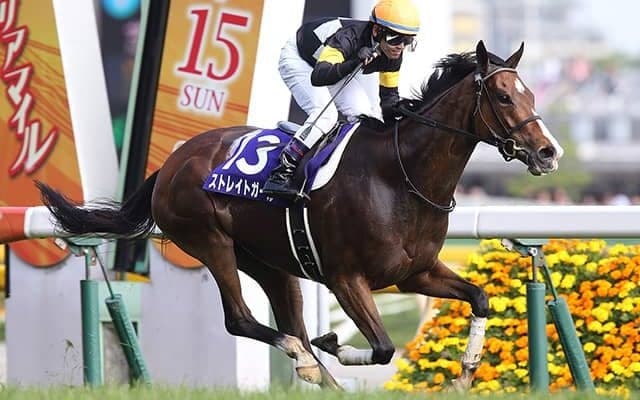 【ヴィクトリアマイル】主要な記録を一挙紹介 最多優勝騎手・調教師・馬主は？