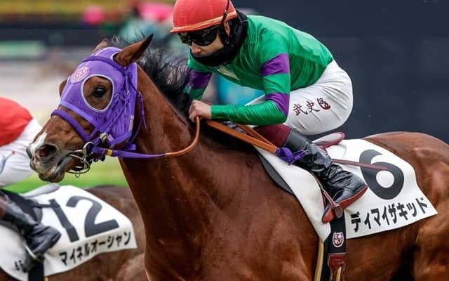 【新潟大賞典見どころ】勢い十分のディマイザキッドに注目