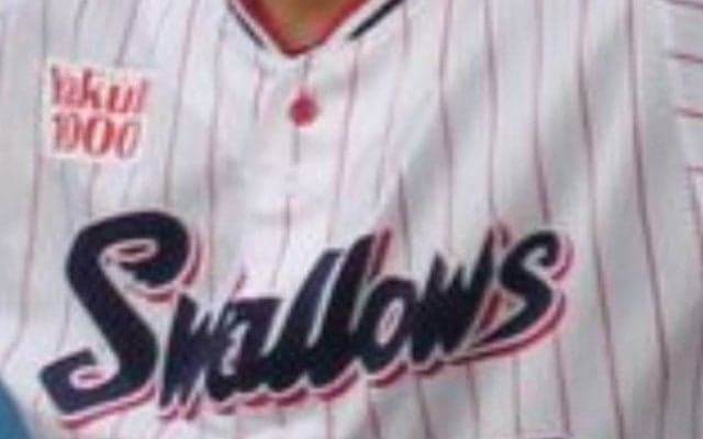 “ライジングシュート”でヤクルト支配下候補に浮上⁈　独立→育成→戦力外を経験した苦労人がアピール中！