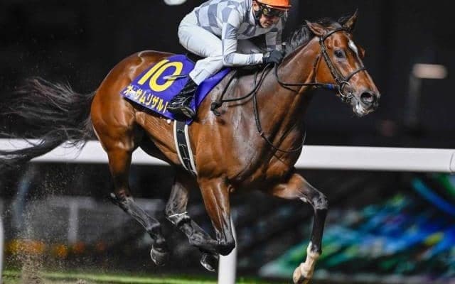 【川崎・エンプレス杯枠順】デビュー8連勝中で連覇狙うオーサムリザルトは5枠5番