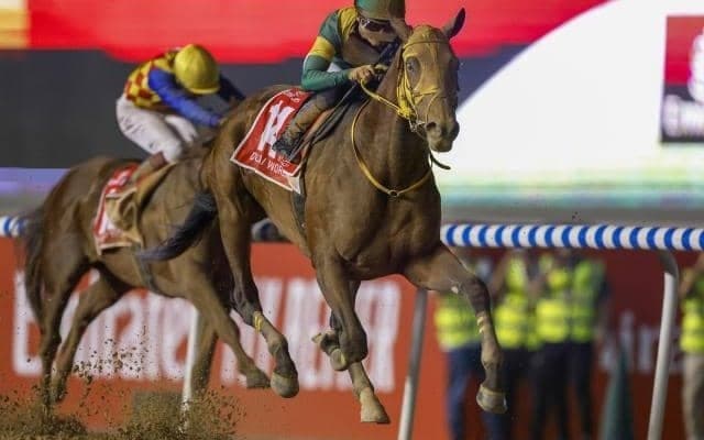 【先週のJRA抹消馬】歴代賞金王ウシュバテソーロ、22年兵庫CS覇者ブリッツファングなど