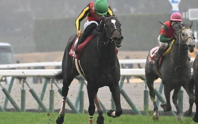 【AI予想・ヴィクトリアM】東京芝1600mに適性がある馬の変わり身に注意!? 波乱を予感させる人工知能の本命候補