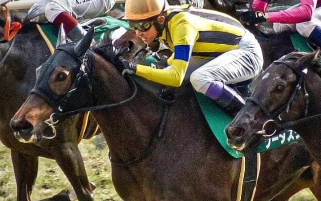 【ヴィクトリアM】穴狙いなら社台ファーム生産馬！ ソーダズリングとビヨンドザヴァレーの2頭が参戦だ