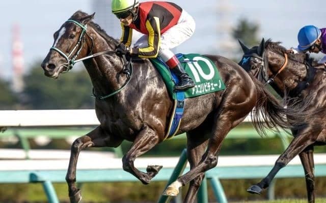 【ヴィクトリアM予想オッズ】アスコリピチェーノが予想1番人気