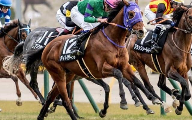 【新潟大賞典】ディーマジェスティ産駒がJRA重賞初制覇へ ディマイザキッドが3連勝狙う