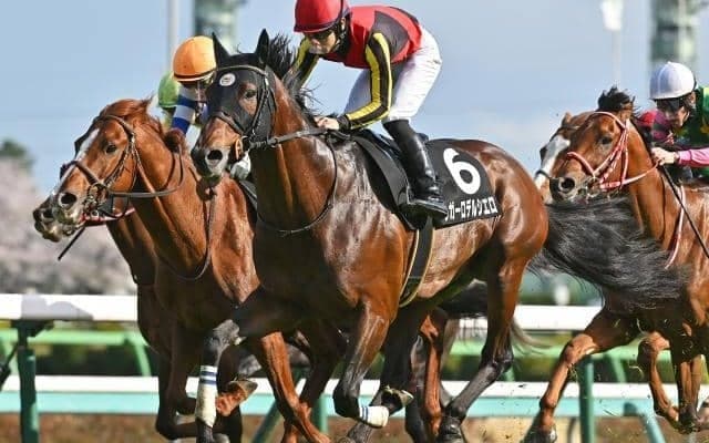 【新潟大賞典予想オッズ】レガーロデルシエロが予想1番人気