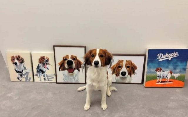大谷翔平、愛犬デコピンの誕生日を祝福「2歳」　“最新3枚”をインスタで公開