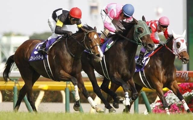 ヴィクトリアMは荒れているのか GIレースの単勝＆3連単平均配当を調べてみた