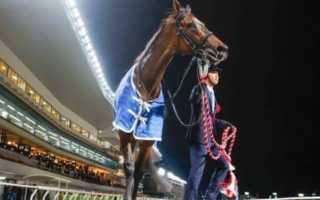 【川崎・エンプレス杯注目馬】無傷8連勝中のオーサムリザルトなどが参戦 春のダート女王決定戦