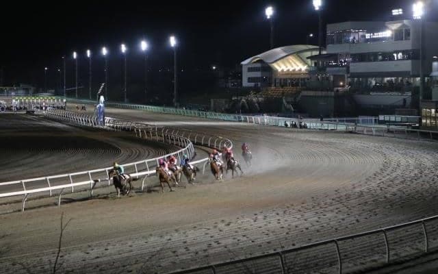 14日門別5Rで「新種牡馬産駒限定の2歳新馬戦」 マテラスカイ産駒やインディチャンプ産駒など9頭