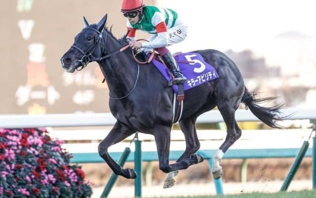 GI馬キラーアビリティが登録抹消 インドで種牡馬入り予定