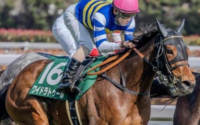 【ヴィクトリアM】歴代最多3勝の藤原英昭調教師 ワイドラトゥールで9年ぶりV狙う