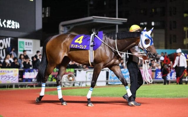 サンオークレアがグランダム・ジャパン古馬・春シーズン総合優勝
