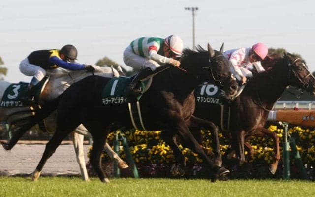 キラーアビリティの競走馬登録抹消…インドで種牡馬入り