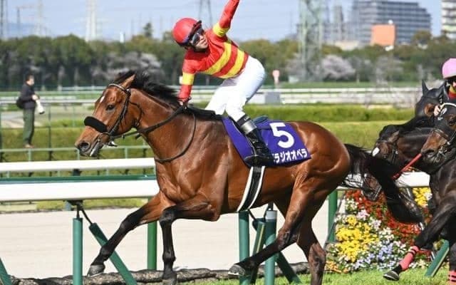 宝塚記念ファン投票第1回中間発表 大阪杯連覇のベラジオオペラが1位