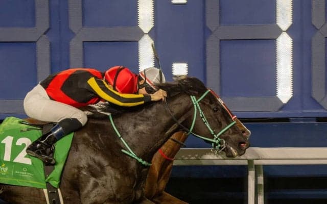 【ヴィクトリアマイル】アスコリピチェーノは484kg…出走馬の調教後の馬体重